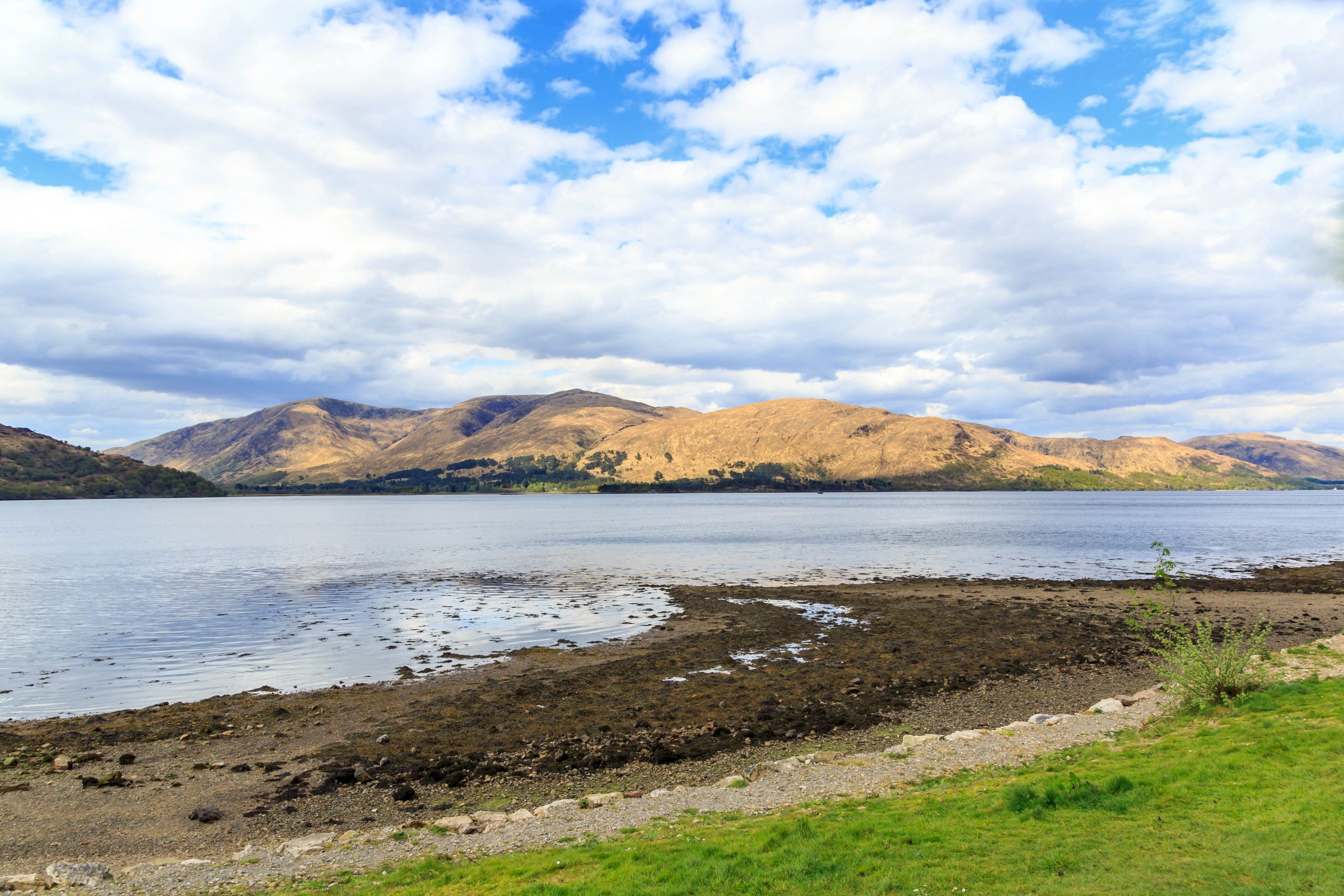 Loch_Linnhe[1].webp